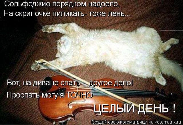 Сольфеджио порядком надоело, На скрипочке пиликать- тоже лень... Вот, на диване спать - другое дело... Котоматрица: Сольфеджио порядком надоело, На скрипочке пиликать- тоже лень... Вот, на диване спать - другое дело! Проспать могу я ТОЧНО ЦЕЛЫЙ ДЕНЬ !
