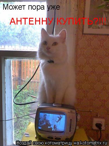 Может пора уже АНТЕННУ КУПИТЬ?!!!... Котоматрица: Может пора уже АНТЕННУ КУПИТЬ?!!!