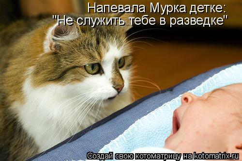 Напевала Мурка детке: "Не служить тебе в разведке"... Котоматрица: Напевала Мурка детке: "Не служить тебе в разведке"