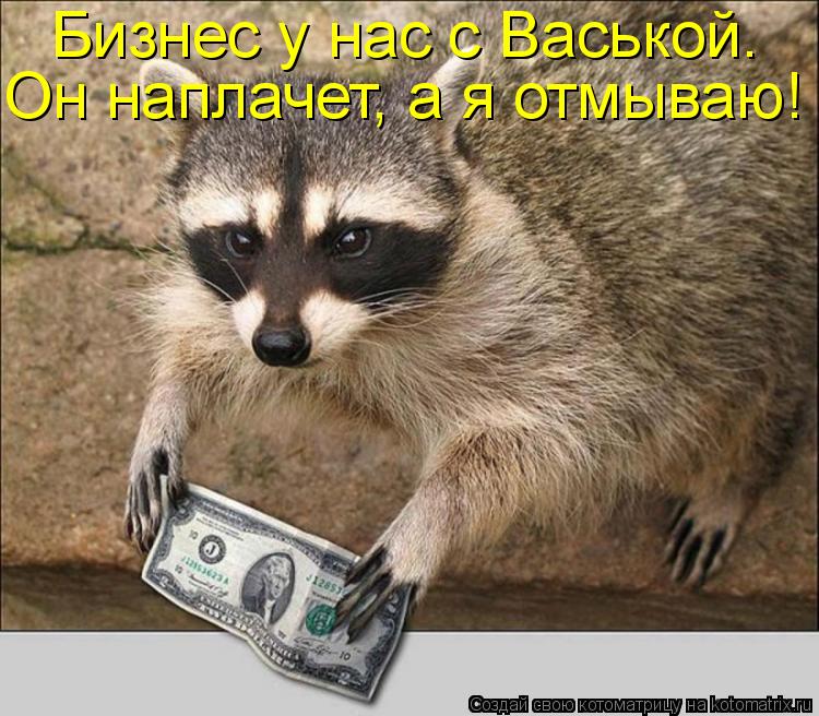 Бизнес у нас с Васькой. Он наплачет, а я отмываю!... Котоматрица: Бизнес у нас с Васькой. Он наплачет, а я отмываю!