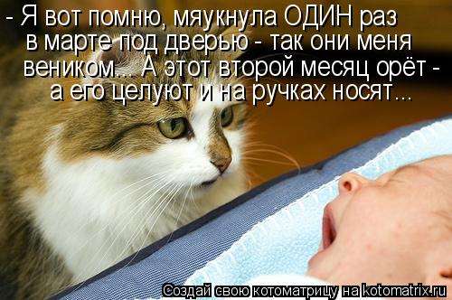 - Я вот помню, мяукнула ОДИН раз в марте под дверью - так они меня веником... А этот второй месяц орё... Котоматрица: - Я вот помню, мяукнула ОДИН раз в марте под дверью - так они меня веником... А этот второй месяц орёт - а его целуют и на ручках носят...