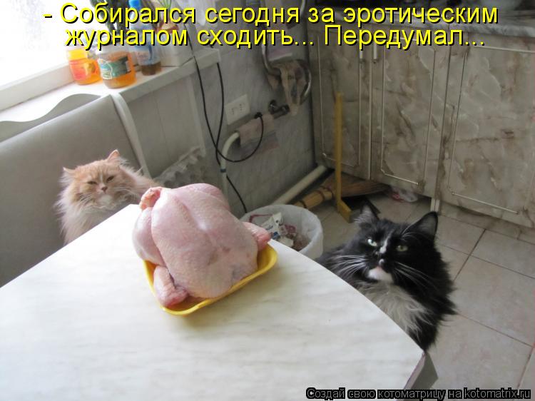 - Собирался сегодня за эротическим журналом сходить... Передумал...... Котоматрица: - Собирался сегодня за эротическим журналом сходить... Передумал...