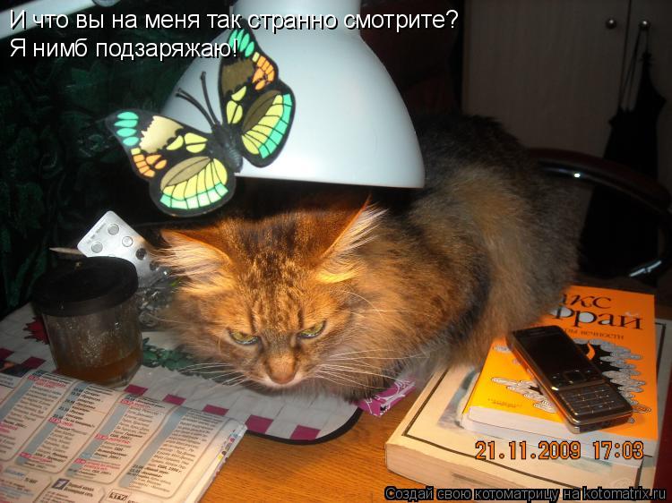 И что вы на меня так странно смотрите? Я нимб подзаряжаю!... Котоматрица: И что вы на меня так странно смотрите? Я нимб подзаряжаю!