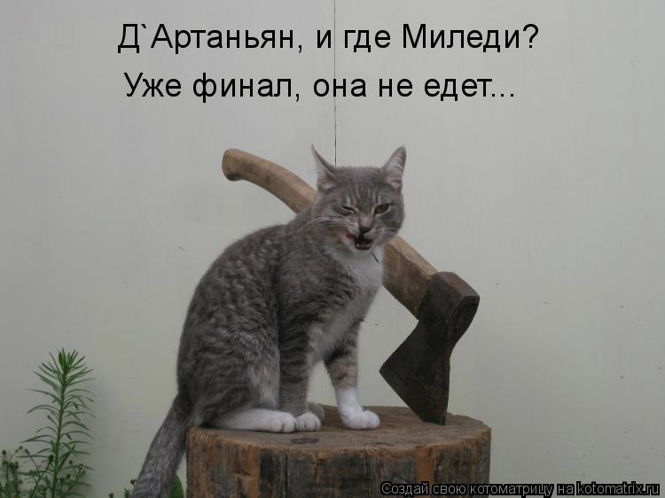Д`Артаньян, и где Миледи? Уже финал, она не едет...... Котоматрица: Д`Артаньян, и где Миледи? Уже финал, она не едет...