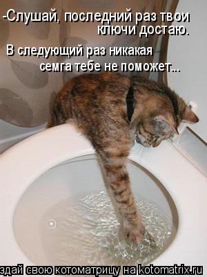 -Слушай, последний раз твои ключи достаю. В следующий раз никакая семга тебе не поможет...... Котоматрица: -Слушай, последний раз твои ключи достаю. В следующий раз никакая семга тебе не поможет...