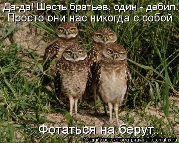 Да-да! Шесть братьев, один - дебил! Просто они нас никогда с собой Фотаться на берут...... Котоматрица: Да-да! Шесть братьев, один - дебил! Просто они нас никогда с собой Фотаться на берут...