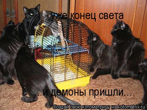 ...и демоны пришли... уже конец света... Котоматрица: ...и демоны пришли... уже конец света