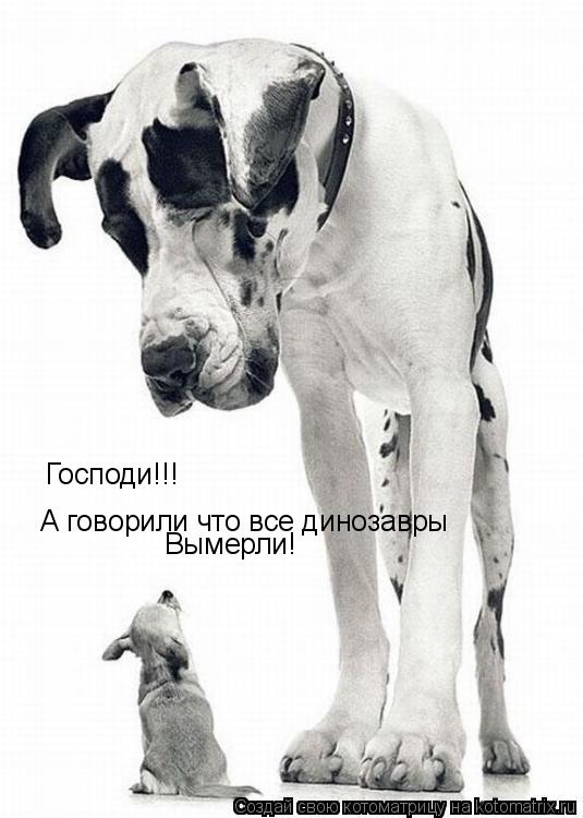 Господи!!! А говорили что все динозавры Вымерли!... Котоматрица: Господи!!! А говорили что все динозавры Вымерли!