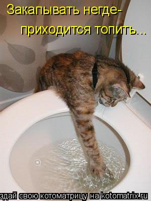 Закапывать негде- приходится топить...... Котоматрица: Закапывать негде- приходится топить...