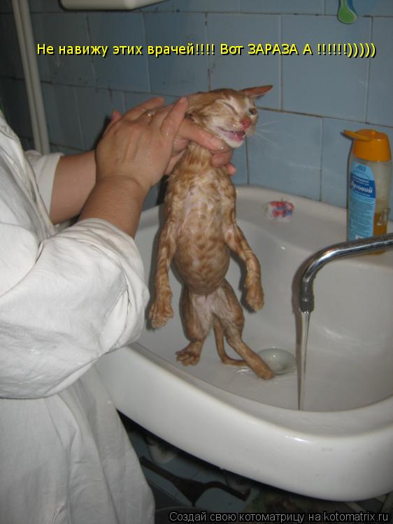 Не навижу этих врачей!!!! Вот ЗАРАЗА А !!!!!!)))))... Котоматрица: Не навижу этих врачей!!!! Вот ЗАРАЗА А !!!!!!)))))