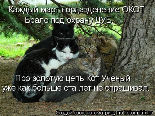 Каждый март пордазденение ОКОТ Брало под охрану ДУБ. Про золотую цепь Кот Ученый уже как больше ста л... Котоматрица: Каждый март пордазденение ОКОТ Брало под охрану ДУБ. Про золотую цепь Кот Ученый уже как больше ста лет не спрашивал.