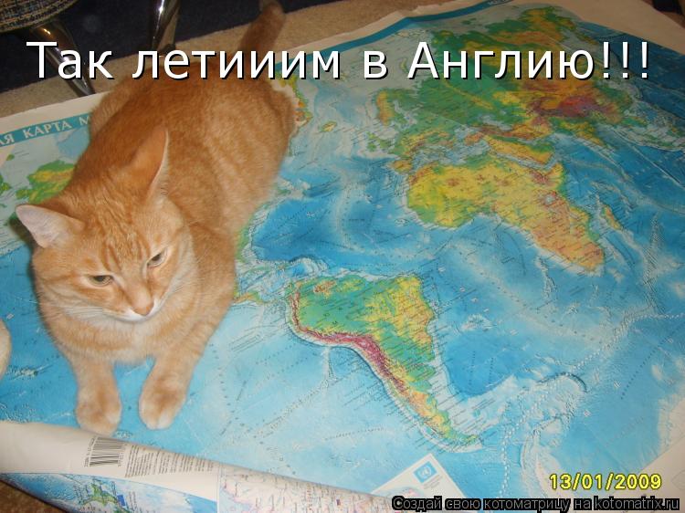 Так летииим в Англию!!!... Котоматрица: Так летииим в Англию!!!