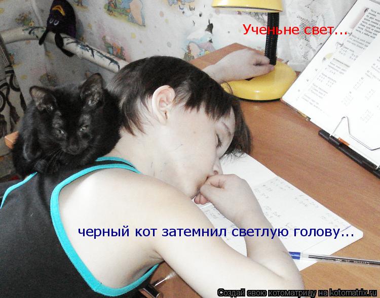 Ученьне свет... черный кот затемнил светлую голову...... Котоматрица: Ученьне свет... черный кот затемнил светлую голову...