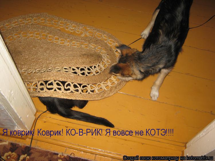 Я коврик! Коврик! КО-В-РИК! Я вовсе не КОТЭ!!!!... Котоматрица: Я коврик! Коврик! КО-В-РИК! Я вовсе не КОТЭ!!!!