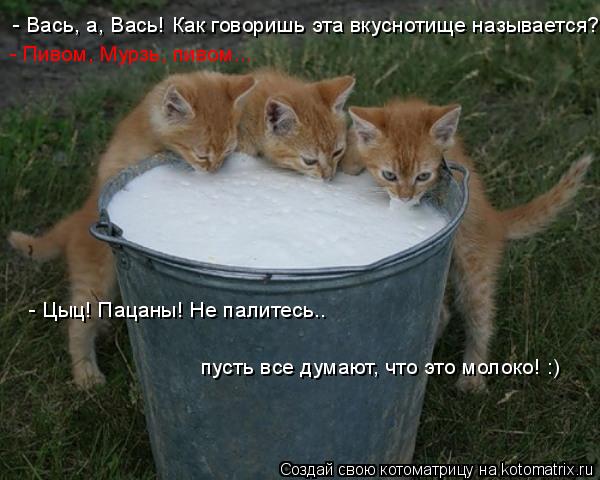 - Вась, а, Вась! Как говоришь эта вкуснотище называется? - Пивом, Мурзь, пивом... - Цыц! Пацаны! Не ... Котоматрица: - Вась, а, Вась! Как говоришь эта вкуснотище называется? - Пивом, Мурзь, пивом... - Цыц! Пацаны! Не палитесь.. пусть все думают, что это молоко! :)