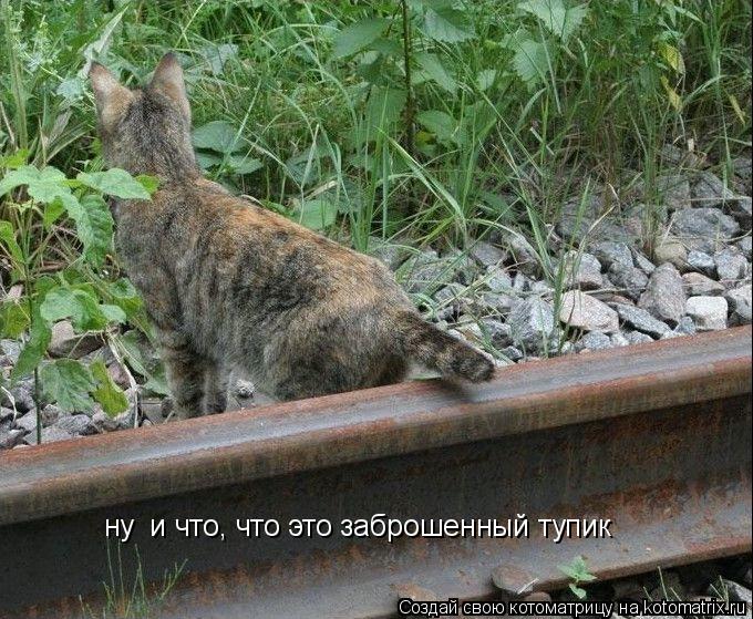 ну и что, что это заброшенный тупик... Котоматрица: ну и что, что это заброшенный тупик