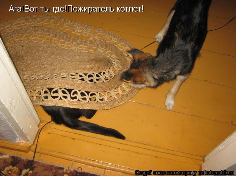 Котоматрица: Ага!Вот ты где!Пожиратель котлет!