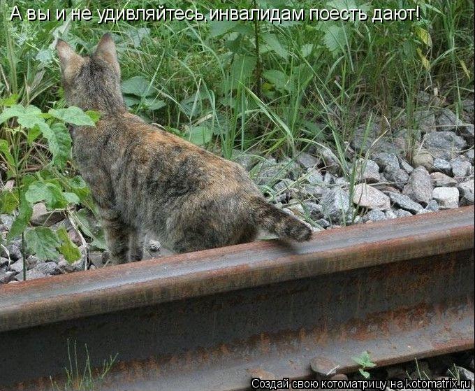 Котоматрица: А вы и не удивляйтесь,инвалидам поесть дают!