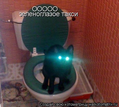 Котоматрица: ООООО зеленоглазое такси