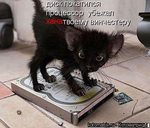Котоматрица: диск покатился процессор  убежал хана твоему винчестеру
