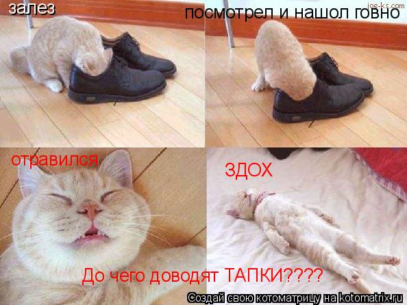 Котоматрица: залез посмотрел и нашол говно отравился ЗДОХ До чего доводят ТАПКИ????