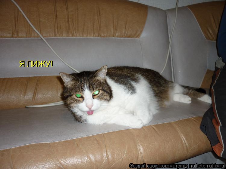 Котоматрица: Я ЛИЖУ!