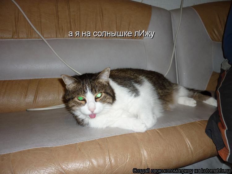 Котоматрица: а я на солнышке лИжу