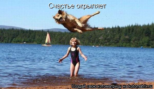 Счастье окрыляет... Котоматрица: Счастье окрыляет