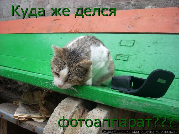 Куда же делся фотоаппарат???... Котоматрица: Куда же делся фотоаппарат???