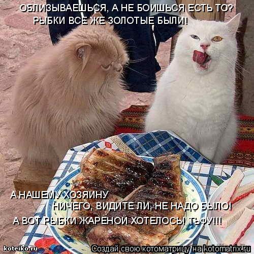 ОБЛИЗЫВАЕШЬСЯ, А НЕ БОИШЬСЯ ЕСТЬ ТО? РЫБКИ ВСЕ ЖЕ ЗОЛОТЫЕ БЫЛИ! А НАШЕМУ ХОЗЯИНУ НИЧЕГО, ВИДИТЕ ЛИ, ... Котоматрица: ОБЛИЗЫВАЕШЬСЯ, А НЕ БОИШЬСЯ ЕСТЬ ТО? РЫБКИ ВСЕ ЖЕ ЗОЛОТЫЕ БЫЛИ! А НАШЕМУ ХОЗЯИНУ НИЧЕГО, ВИДИТЕ ЛИ, НЕ НАДО БЫЛО! А ВОТ РЫБКИ ЖАРЕНОЙ ХОТЕЛОС