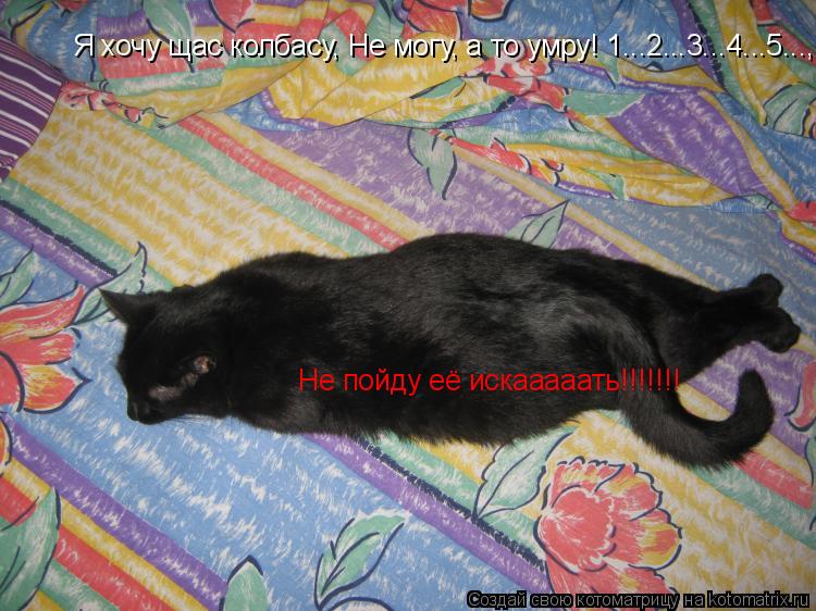 Я хочу щас колбасу, Не могу, а то умру! 1...2...3...4...5..., Не пойду её искааааать!!!!!!! Не пойду ... Котоматрица: Я хочу щас колбасу, Не могу, а то умру! 1...2...3...4...5..., Не пойду её искааааать!!!!!!! Не пойду её искааааать!!!!!!!