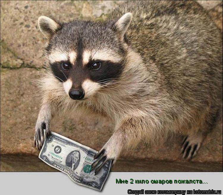 Котоматрица: Мне 2 кило омаров пожалста...