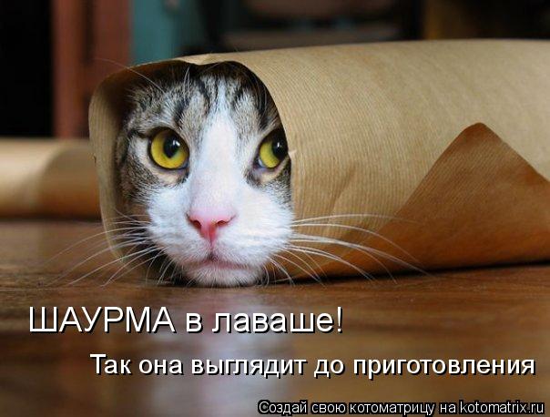 Котоматрица: ШАУРМА в лаваше!  Так она выглядит до приготовления