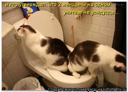 Котоматрица: и кто утверждал, что 2 женщины на одном  унитазе не усядуцца...