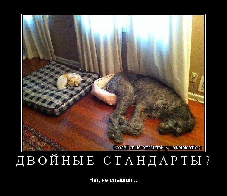 двойные стандарты? Нет, не слышал...... Котоматрица: двойные стандарты? Нет, не слышал...