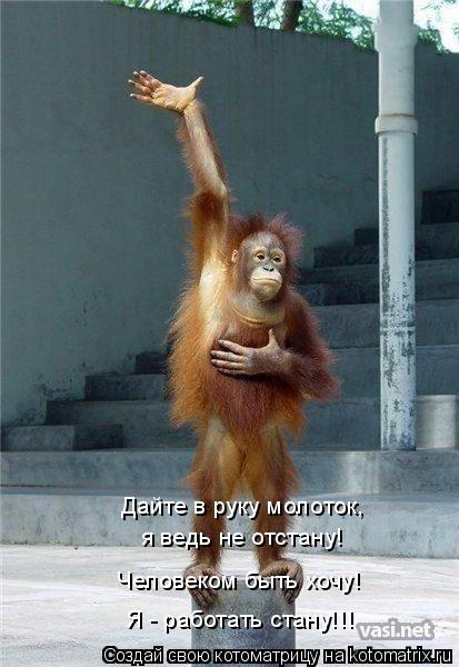 Дайте в руку молоток, я ведь не отстану! Человеком быть хочу! Я - работать стану!!!... Котоматрица: Дайте в руку молоток, я ведь не отстану! Человеком быть хочу! Я - работать стану!!!