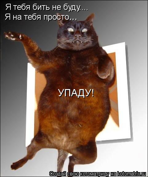 Я тебя бить не буду.... Я на тебя просто УПАДУ! ...... Котоматрица: Я тебя бить не буду.... Я на тебя просто УПАДУ! ...