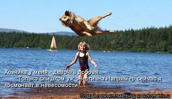 Хозяйка у меня - девочка добрая... Только слишком уж энергична.Например сейчас я космонавт в невесомо... Котоматрица: Хозяйка у меня - девочка добрая... Только слишком уж энергична.Например сейчас я космонавт в невесомости....