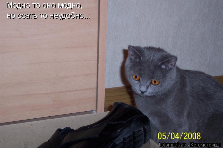 Модно то оно модно, но ссать то неудобно...... Котоматрица: Модно то оно модно, но ссать то неудобно...