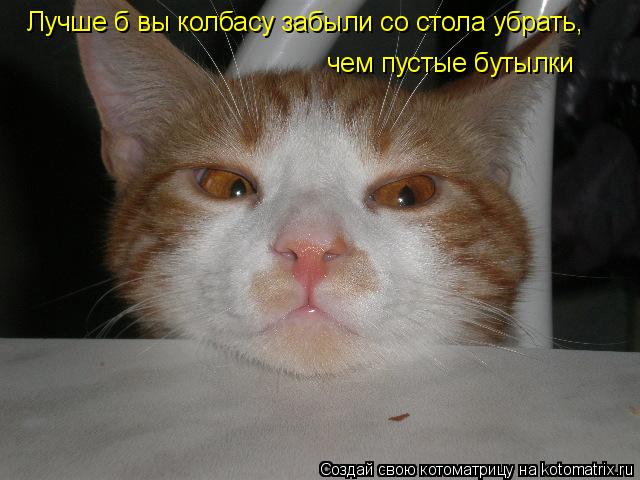 чем пустые бутылки Лучше б вы колбасу забыли со стола убрать,... Котоматрица: чем пустые бутылки Лучше б вы колбасу забыли со стола убрать,