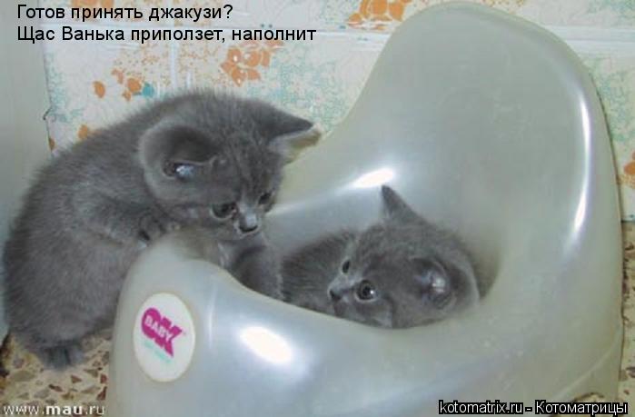 Готов принять джакузи? Щас Ванька приползет, наполнит... Котоматрица: Готов принять джакузи? Щас Ванька приползет, наполнит