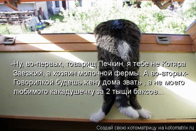 Говорилкой будешь жену дома звать , а не моего -Ну, во-первых, товарищ Печкин, я тебе не Котяра лю... Котоматрица: Говорилкой будешь жену дома звать , а не моего -Ну, во-первых, товарищ Печкин, я тебе не Котяра любимого какадушечку за 2 тыщи баксов... Заезж
