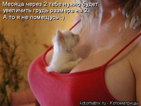 Месяца через 2 тебе нужно будет увеличить грудь размера на 2. А то я не помещусь :)... Котоматрица: Месяца через 2 тебе нужно будет увеличить грудь размера на 2. А то я не помещусь :)