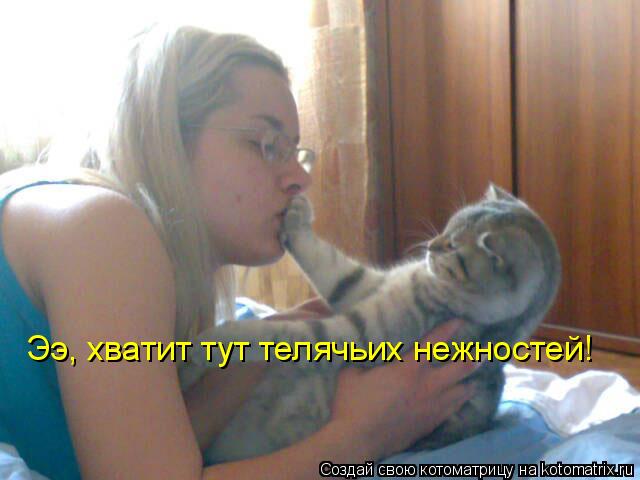 Котоматрица: Ээ, хватит тут телячьих нежностей!