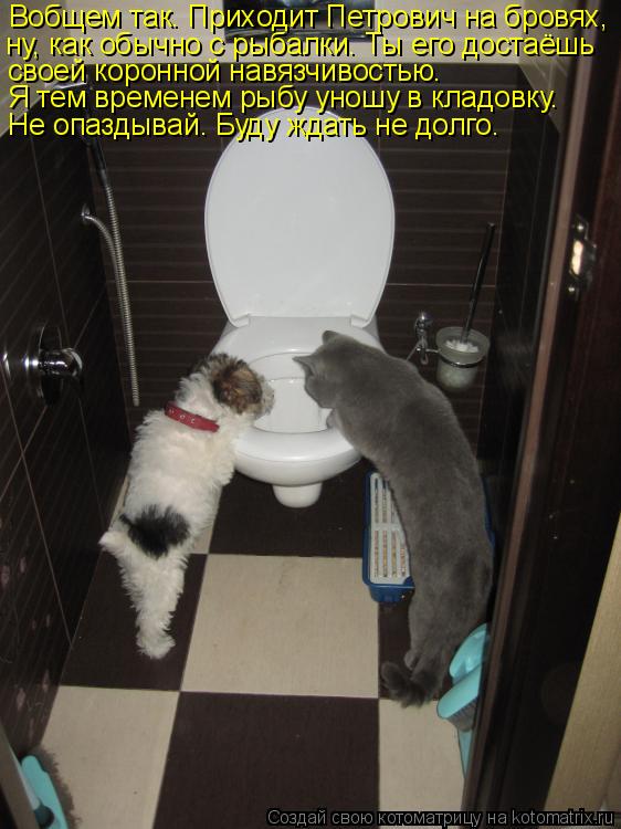 Котоматрица: Вобщем так. Приходит Петрович на бровях, ну, как обычно с рыбалки. Ты его достаёшь своей коронной навязчивостью. Я тем временем рыбу уношу в 