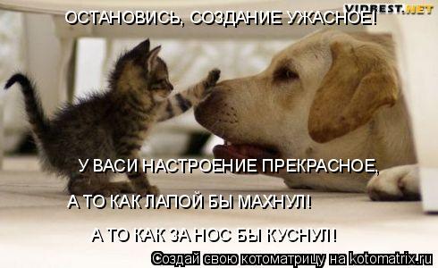 Котоматрица: ОСТАНОВИСЬ, СОЗДАНИЕ УЖАСНОЕ! У ВАСИ НАСТРОЕНИЕ ПРЕКРАСНОЕ, А ТО КАК ЛАПОЙ БЫ МАХНУЛ! А ТО КАК ЗА НОС БЫ КУСНУЛ!