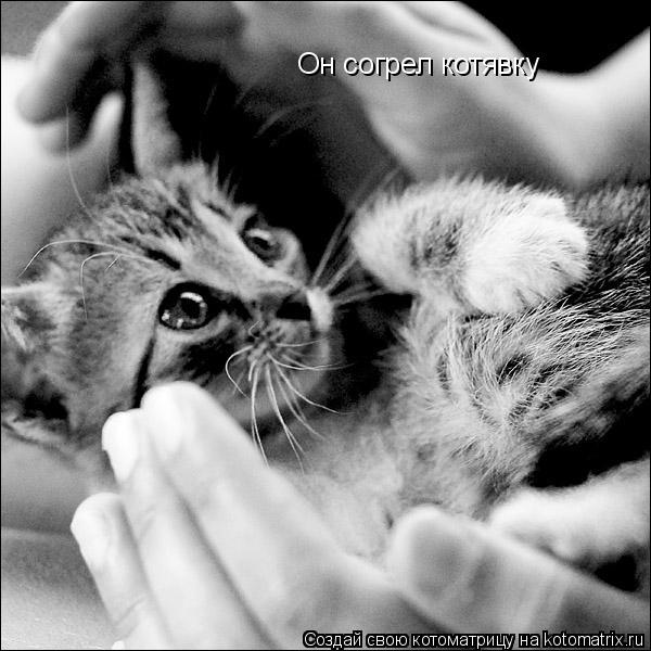 Котоматрица: Он согрел котявку