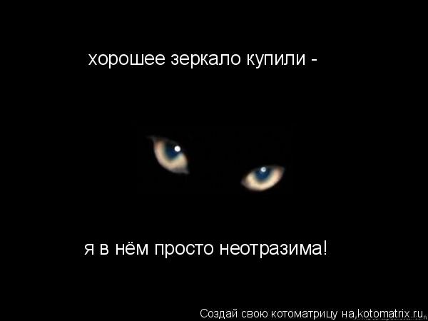 Котоматрица: хорошее зеркало купили -  я в нём просто неотразима!