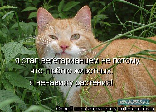 Котоматрица: я стал вегетарианцем не потому,  что люблю животных,  я ненавижу растения!