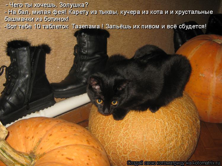 Котоматрица: - Чего ты хочешь, Золушка? - На бал, милая фея! Карету из тыквы, кучера из кота и и хрустальные  башмачки из ботинок! -Вот тебе 10 таблеток «Тазеп